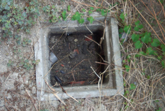 Before 汚泥で悪臭が停滞